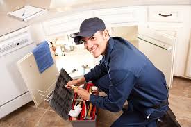 Best Garbage Disposal Repair and Installation  in USA